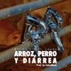 Arroz, Perro y Diarrea - Single