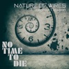 No Time to Die (feat. Stephen Newton) - Single
