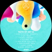 Taste of Air Va artwork