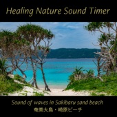 Relaxing Ocean Wave Sounds and early summer bird songs in Sakibaru beach(nature sound) [Healing Nature Sound Timer] artwork