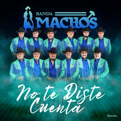 No Te Diste Cuenta - Single - Banda Machos
