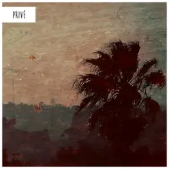 Destino Mañana - Single - Privé