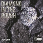 Diamond in the Rough artwork