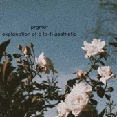 PRGMAT - Explanation of a Lo-Fi Aesthetic