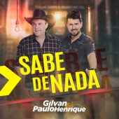 Sabe de Nada artwork