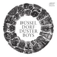 The Düsseldorf Düsterboys - Nenn mich Musik artwork