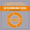 Do You Know What I Mean (Remixes) - Single