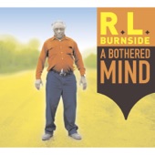 R.L. Burnside - My Name Is Robert Too