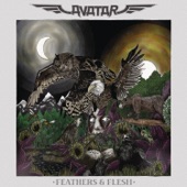 Feathers & Flesh (Bonus Track version) artwork