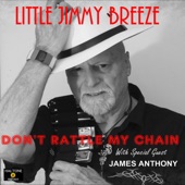 Little Jimmy Breeze - Sitting on Top of the World (feat. James Anthony)