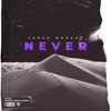 Never - Single