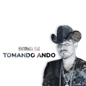 Tomando Ando (Banda Sinaloense) artwork