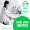 Raise Your Vibration Guided Meditation - EP album lyrics, reviews, download