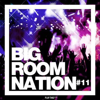 Big Room Nation, Vol. 11 by Various Artists album reviews, ratings, credits