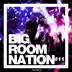 Big Room Nation, Vol. 11 album cover