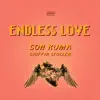 Endless Love - Single album lyrics, reviews, download