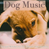 Dog Music: Tranquil Melodies for the Ultimate Dog Relaxation artwork