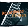 Accordéons d'ailleurs - Accordion Cross Culture artwork