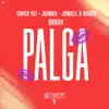 Palga (feat. Brray) song lyrics
