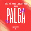 Stream & download Palga (feat. Brray)