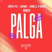 Palga (feat. Brray) artwork