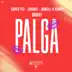 Palga (feat. Brray) song reviews