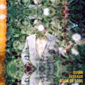 Quinn Deveaux & the Blue Beat Review - Been Too Long