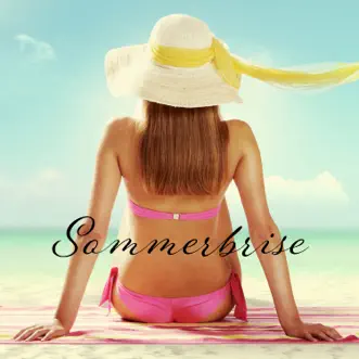 Sommerbrise by Various Artists album reviews, ratings, credits