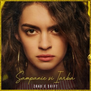 Sampanie Si Iarba (feat. Shift) - Single