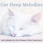 Cat Sleep Melodies: Soft Lullabies for the Ultimate Feline Experience artwork