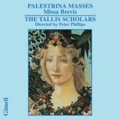 Palestrina - Missa Brevis & Missa Nasce la gioja mia artwork