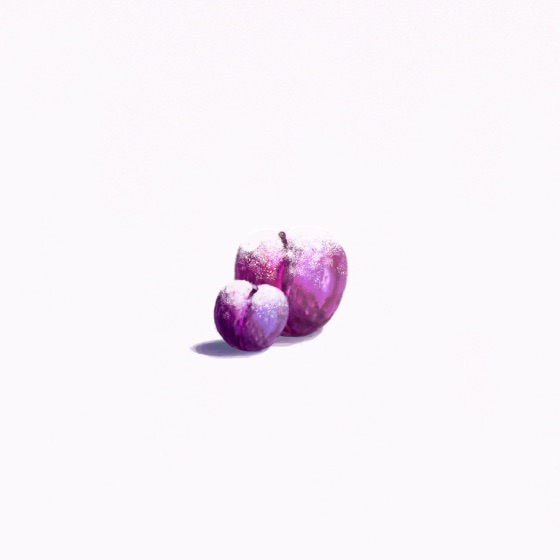 Cover artwork for Sugarplum Elegy