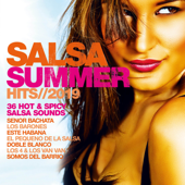 Salsa Summer Hits 2019 - Verschiedene Interpreten