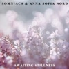 Awaiting Stillness - Single