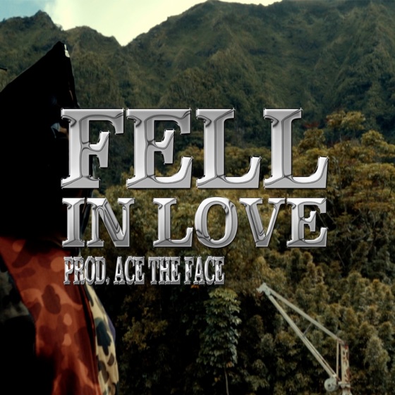 Cover artwork for Fell In Love