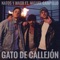 Gato de callejón (feat. Miguel Campello) - Natos y Waor lyrics