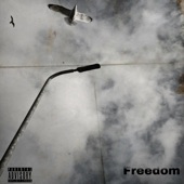 Freedom by D'seed