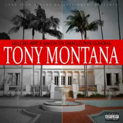 Tony Montana - Single by Hellzflame & Bacon da Smalltown General album reviews, ratings, credits