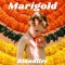 Marigold - Blondfire lyrics