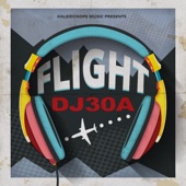 Flight artwork