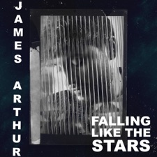 Falling like the Stars by 