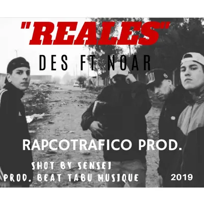 Reales (feat. NOAR) - Single - D.E.S