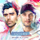 Voices (feat. TZAR) [Extended Mix] artwork