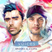 Voices (feat. TZAR) artwork