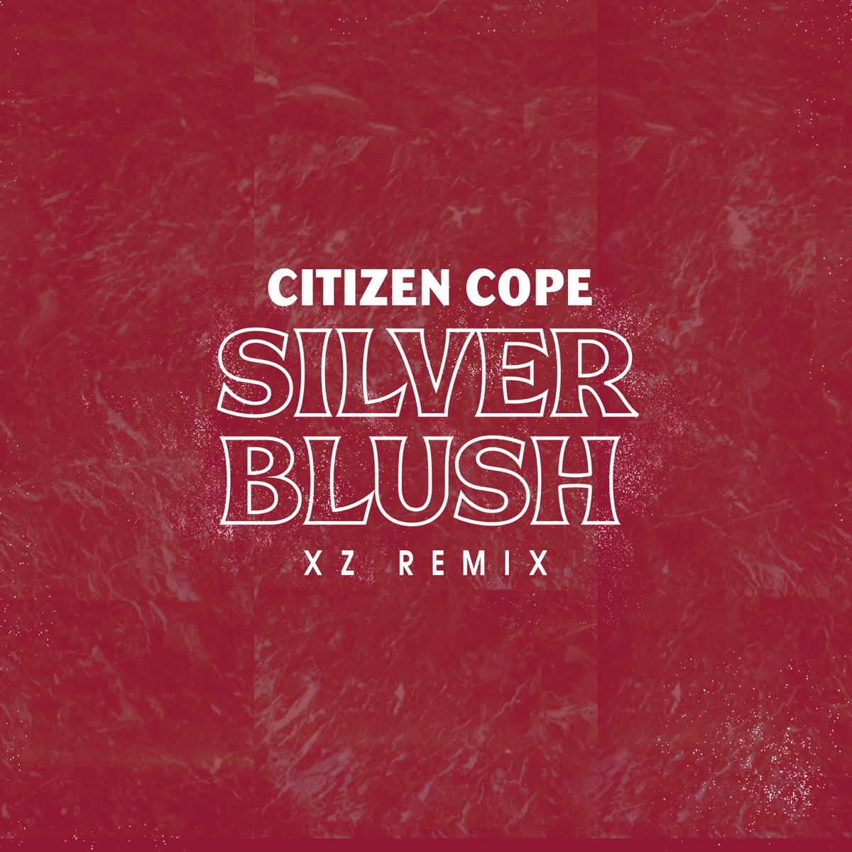 Son's Gonna Rise - Single by Citizen Cope featuring Robert Randolph on  Apple Music