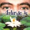 Luz, Mistério e Magia - Arlindo Junior lyrics