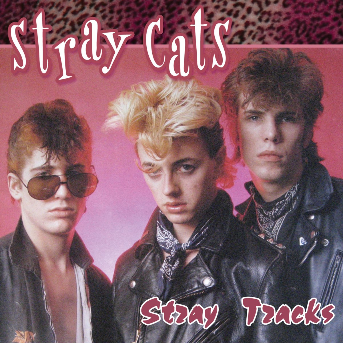 Стрэй кэтс. Группа Stray Cats. СТРЕЙ кэтс группа. Stray Cats 1981. Stray Cat Blues.