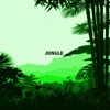 Jungle - Single