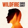 Wildfire - Single