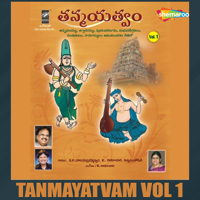 S. P. Balasubrahmanyam, Nitya Santoshini & Sri. Ram Kaushik - Tanmayatvam, Vol. 1 artwork